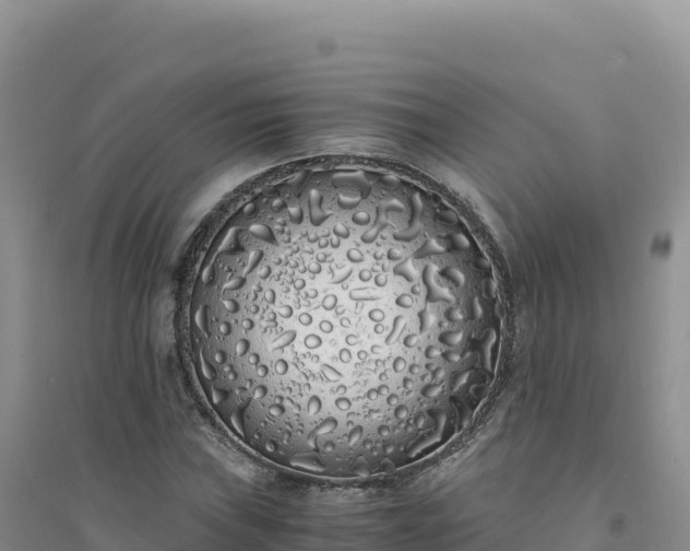 X0000094361019200711091510