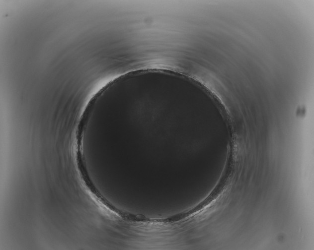 X0000094361024200711091510