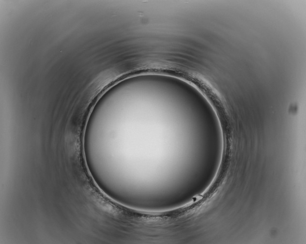 X0000094361025200711091510