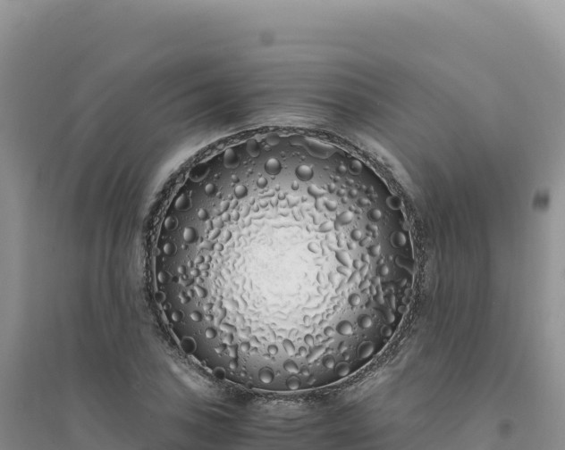 X0000094361027200711091510