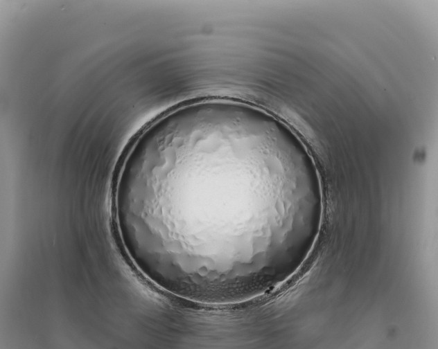 X0000094361028200711091510