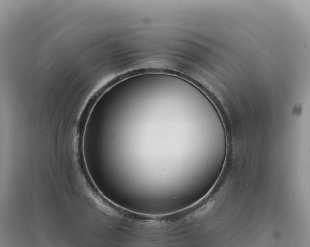 X0000094361029200711091510