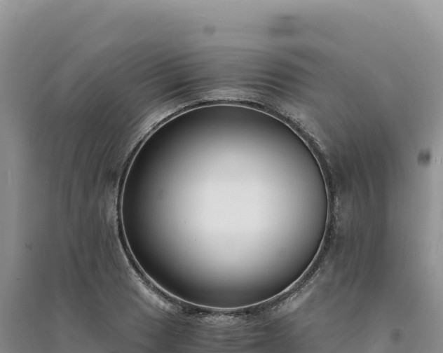 X0000094361033200711091510