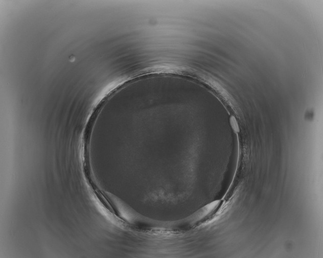 X0000094361034200711091510