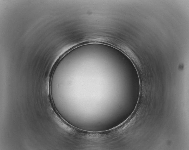 X0000094361036200711091510