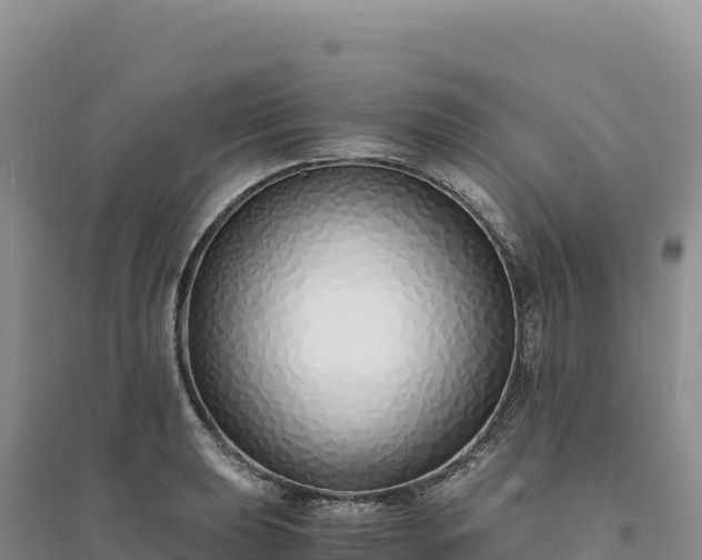 X0000094361039200711091510
