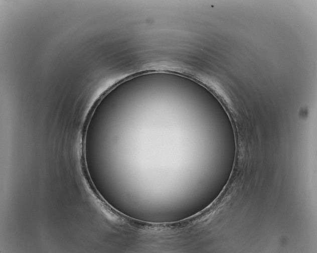 X0000094361040200711091510