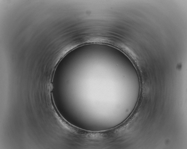 X0000094361041200711091510
