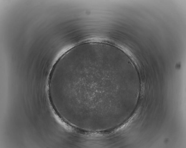 X0000094361042200711091510