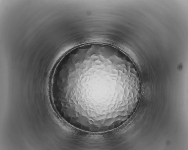 X0000094361043200711091510