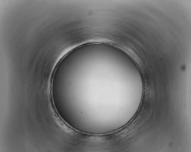 X0000094361044200711091510