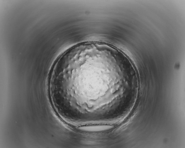 X0000094361045200711091511