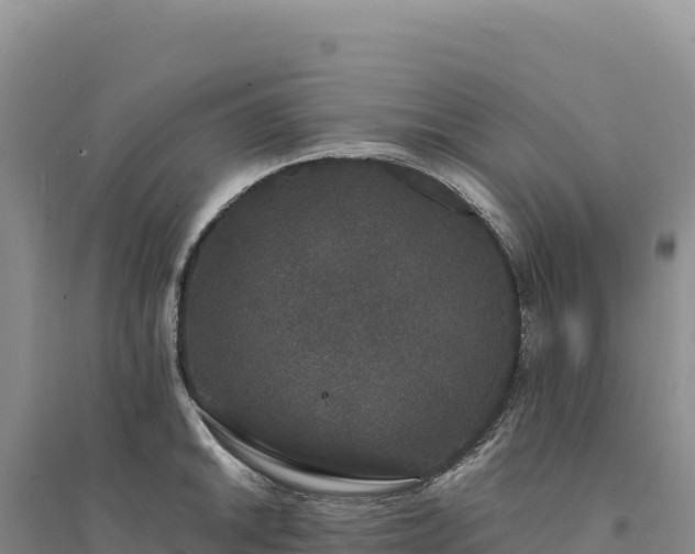 X0000094361046200711091511