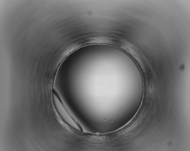 X0000094361049200711091511