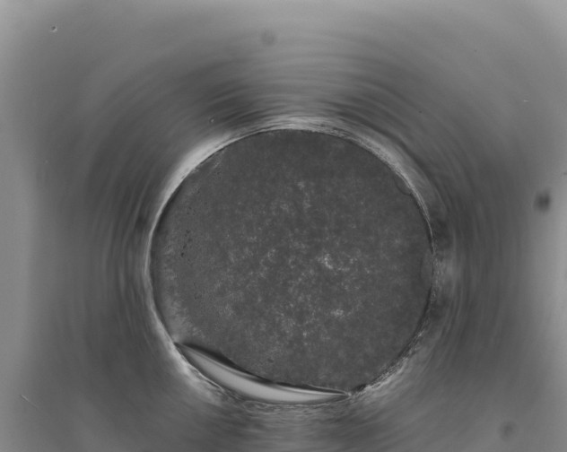 X0000094361050200711091511
