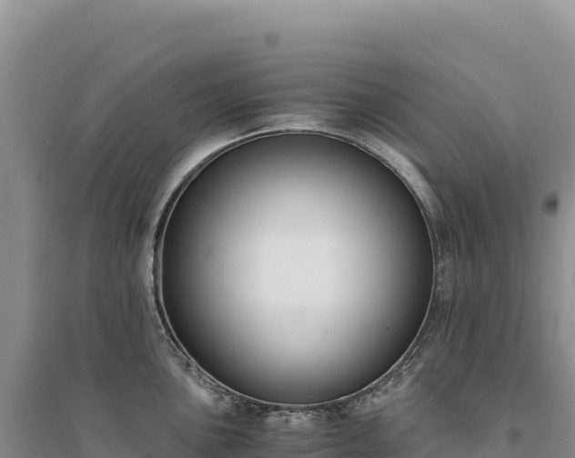 X0000094361051200711091511