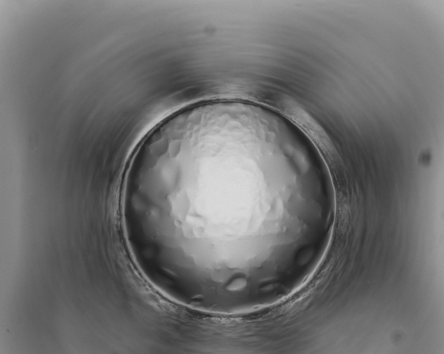 X0000094361052200711091511