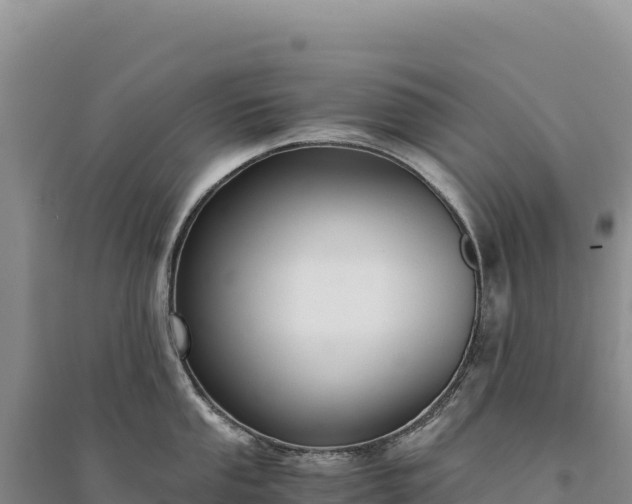 X0000094361053200711091511