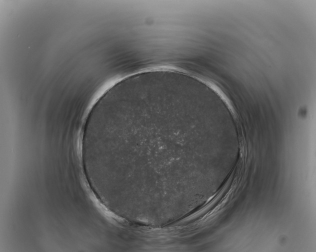X0000094361054200711091511
