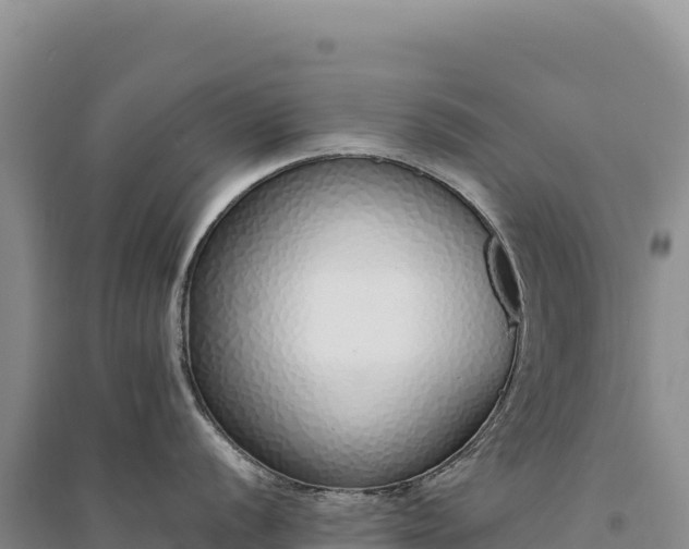 X0000094361056200711091511