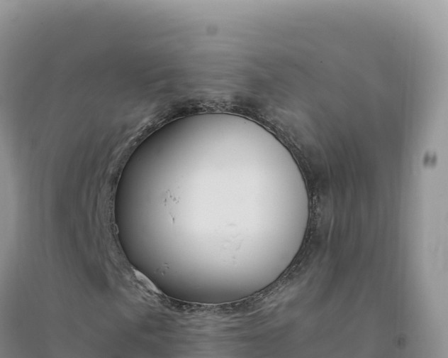 X0000094361057200711091510