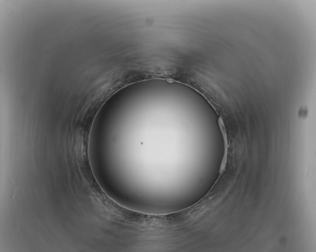 X0000094361058200711091510
