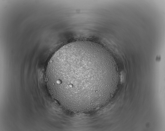 X0000094361059200711091510