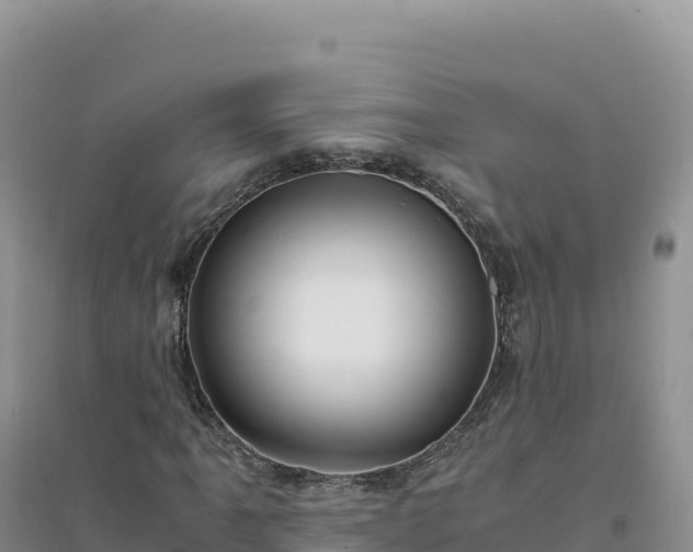 X0000094361061200711091510