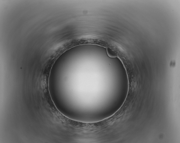 X0000094361062200711091510