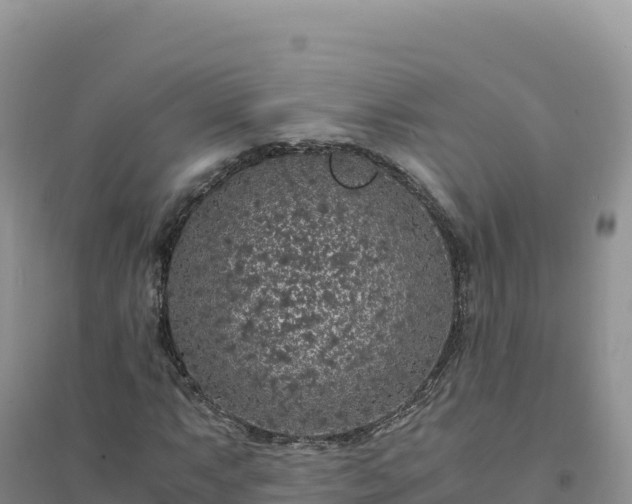 X0000094361063200711091510