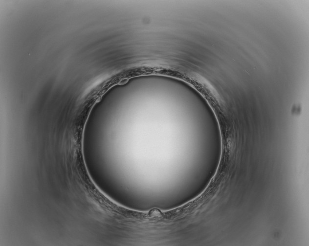 X0000094361064200711091510