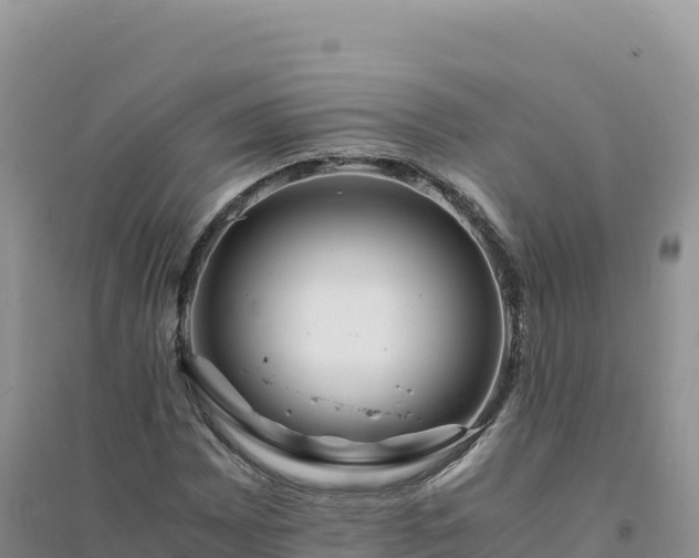X0000094361065200711091510