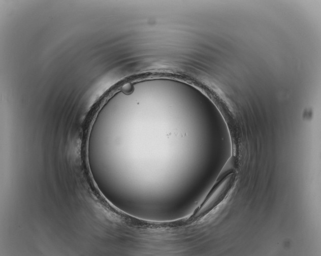 X0000094361066200711091510