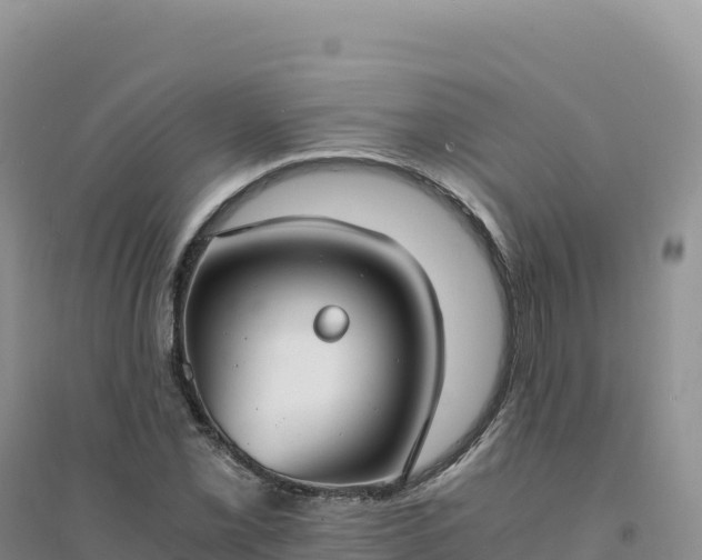 X0000094361069200711091510
