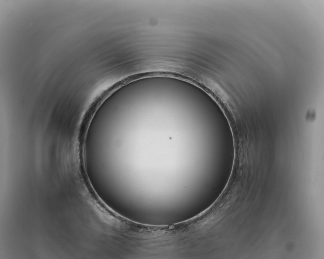 X0000094361072200711091510