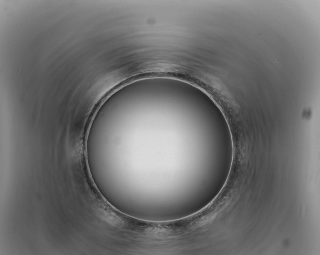 X0000094361073200711091510