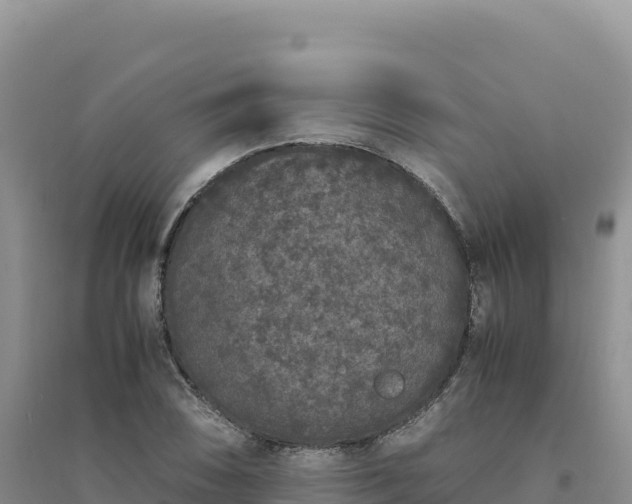 X0000094361074200711091510