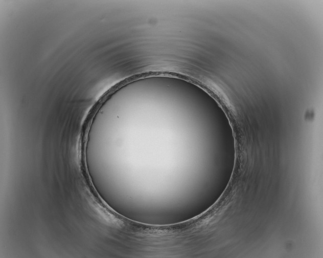 X0000094361076200711091510