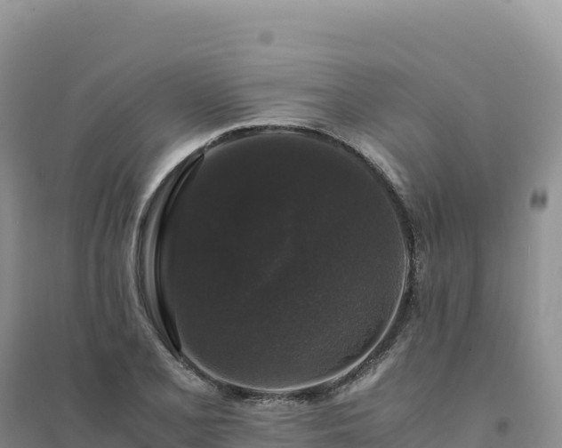 X0000094361077200711091510