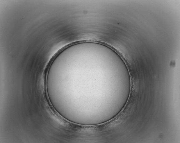 X0000094361078200711091510