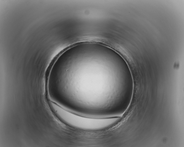 X0000094361079200711091510