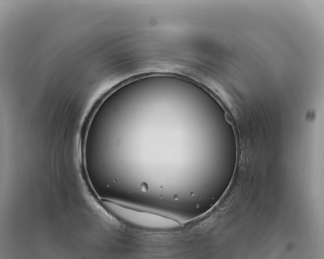 X0000094361080200711091510