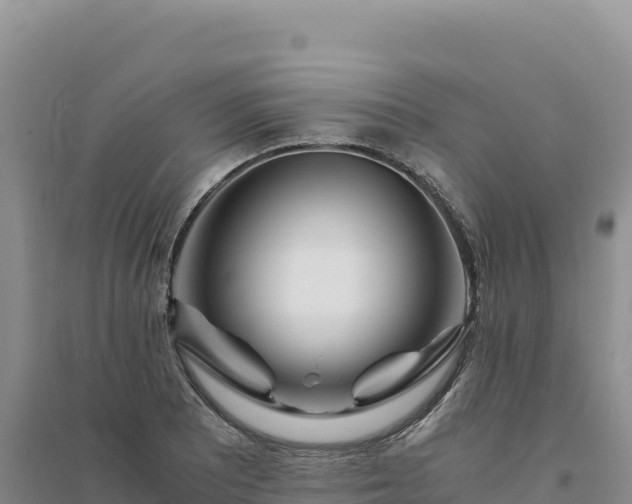 X0000094361081200711091510