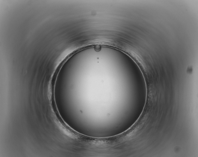 X0000094361082200711091509