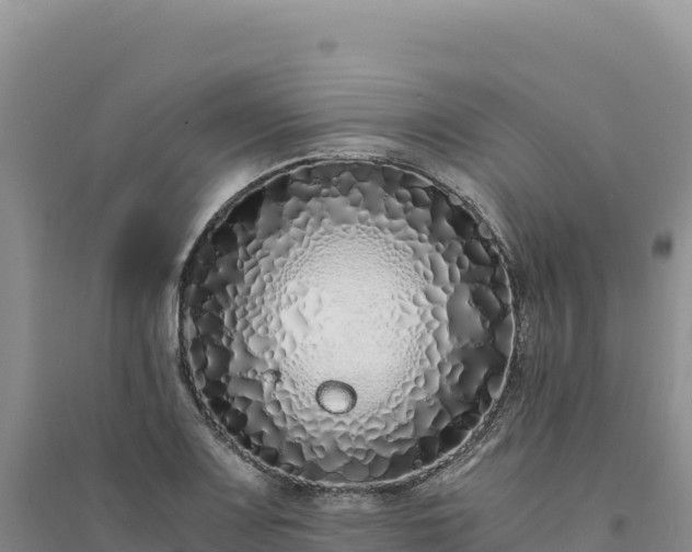 X0000094361083200711091509