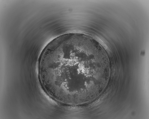 X0000094361084200711091509