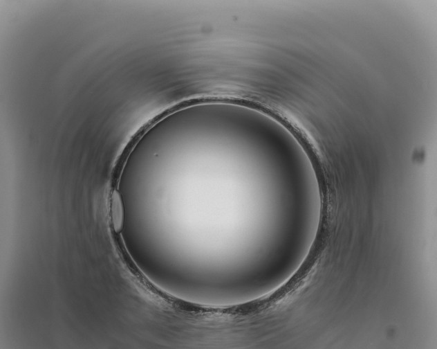 X0000094361085200711091509