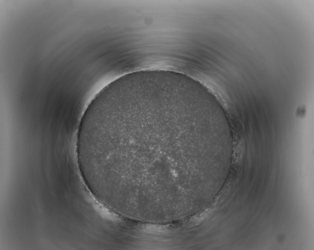 X0000094361086200711091509