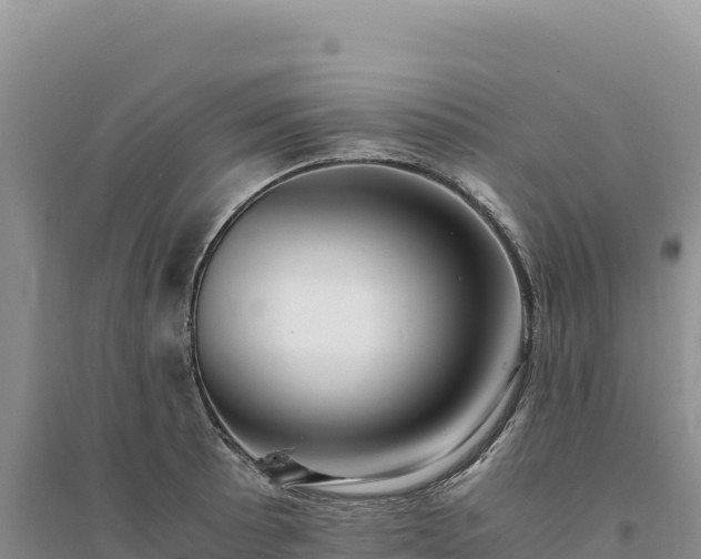 X0000094361089200711091509