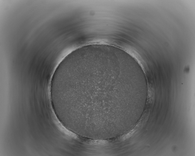 X0000094361090200711091509